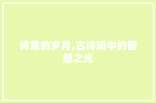 诗意的岁月,古诗词中的智慧之光
