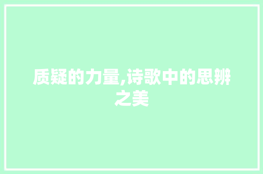 质疑的力量,诗歌中的思辨之美