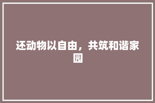 还动物以自由，共筑和谐家园
