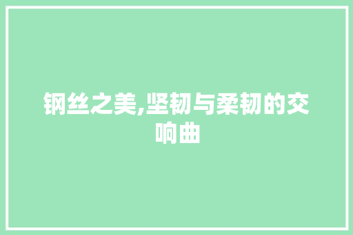 钢丝之美,坚韧与柔韧的交响曲