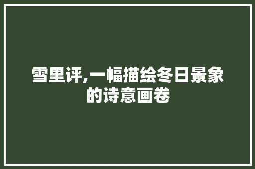 雪里评,一幅描绘冬日景象的诗意画卷