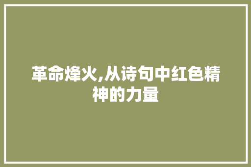 革命烽火,从诗句中红色精神的力量