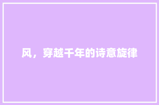 风，穿越千年的诗意旋律