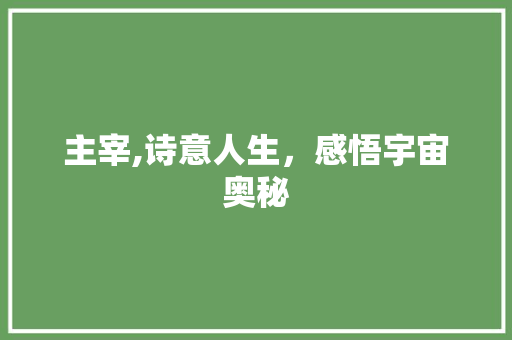 主宰,诗意人生，感悟宇宙奥秘