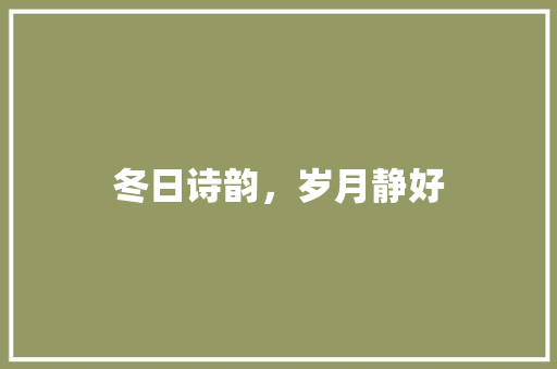 冬日诗韵，岁月静好