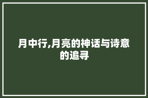 月中行,月亮的神话与诗意的追寻