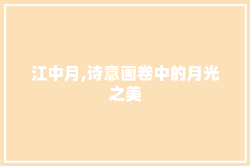 江中月,诗意画卷中的月光之美