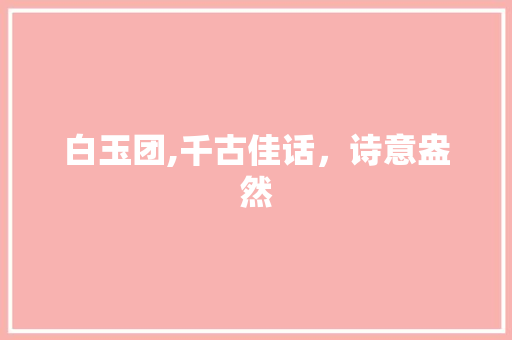 白玉团,千古佳话，诗意盎然