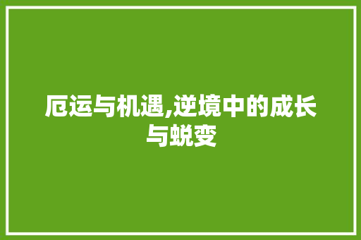 厄运与机遇,逆境中的成长与蜕变