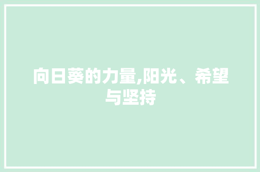 向日葵的力量,阳光、希望与坚持