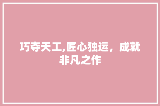 巧夺天工,匠心独运，成就非凡之作 会议纪要