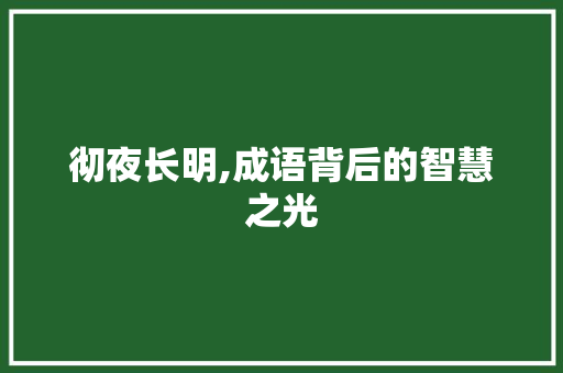彻夜长明,成语背后的智慧之光