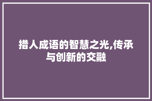 措人成语的智慧之光,传承与创新的交融