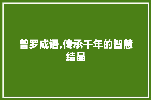 曾罗成语,传承千年的智慧结晶