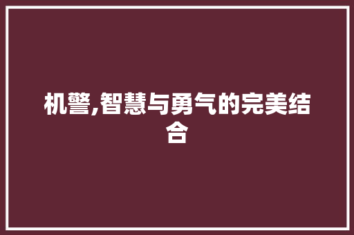 机警,智慧与勇气的完美结合 应用文