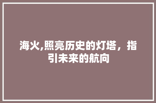 海火,照亮历史的灯塔，指引未来的航向 社交媒体