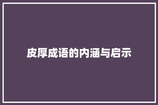皮厚成语的内涵与启示