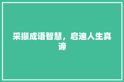 采撷成语智慧，启迪人生真谛