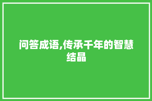 问答成语,传承千年的智慧结晶 工作总结
