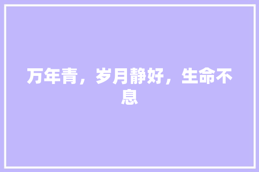 万年青，岁月静好，生命不息