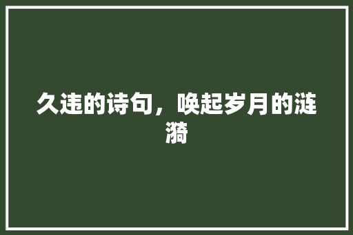 久违的诗句，唤起岁月的涟漪 诗词应用