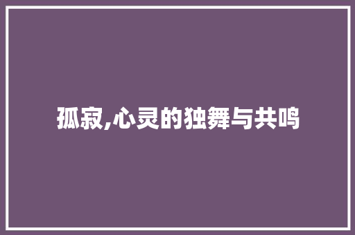 孤寂,心灵的独舞与共鸣