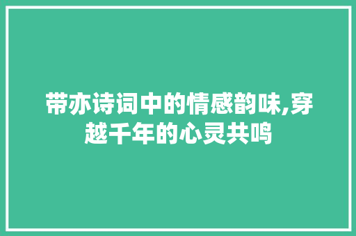 带亦诗词中的情感韵味,穿越千年的心灵共鸣 工作总结
