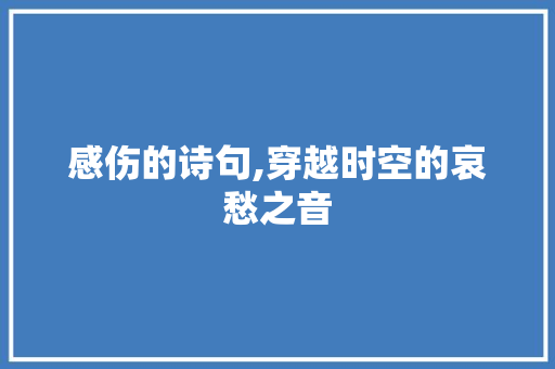 感伤的诗句,穿越时空的哀愁之音
