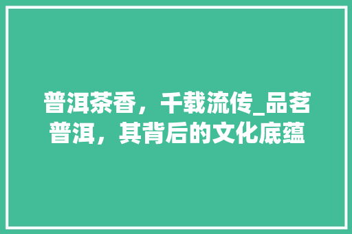 普洱茶香，千载流传_品茗普洱，其背后的文化底蕴