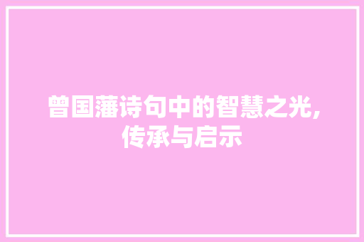曾国藩诗句中的智慧之光,传承与启示