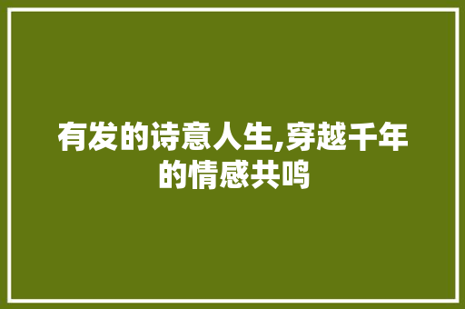 有发的诗意人生,穿越千年的情感共鸣 社交媒体