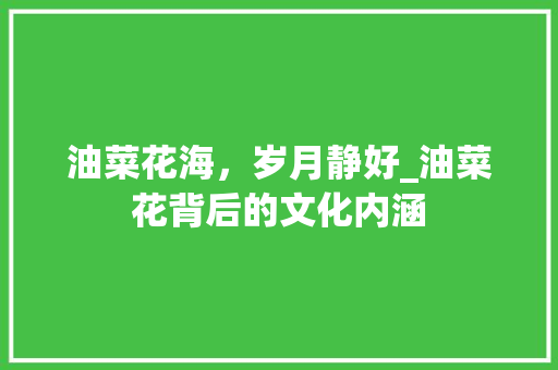 油菜花海，岁月静好_油菜花背后的文化内涵