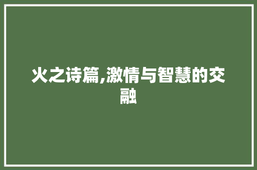 火之诗篇,激情与智慧的交融