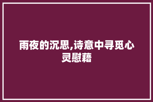 雨夜的沉思,诗意中寻觅心灵慰藉