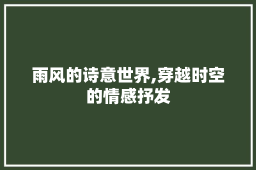 雨风的诗意世界,穿越时空的情感抒发