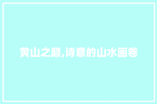 黄山之巅,诗意的山水画卷