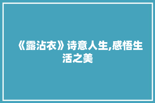 《露沾衣》诗意人生,感悟生活之美