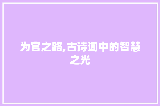 为官之路,古诗词中的智慧之光