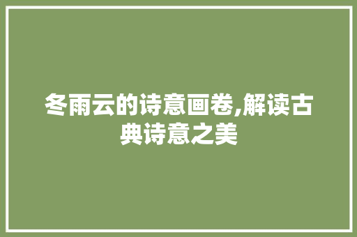 冬雨云的诗意画卷,解读古典诗意之美