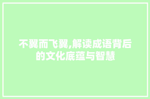 不翼而飞翼,解读成语背后的文化底蕴与智慧