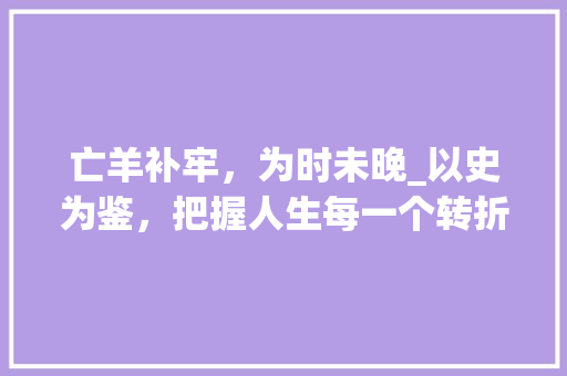 亡羊补牢，为时未晚_以史为鉴，把握人生每一个转折点 诗词体裁