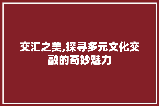 交汇之美,探寻多元文化交融的奇妙魅力