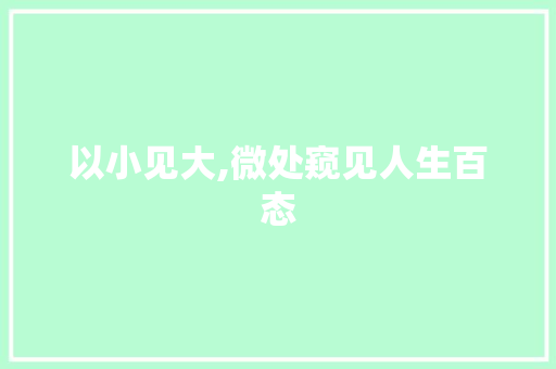 以小见大,微处窥见人生百态