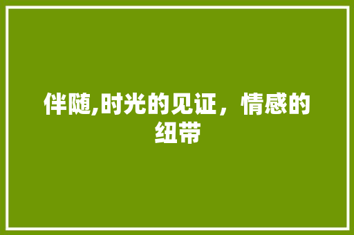 伴随,时光的见证，情感的纽带 职场写作