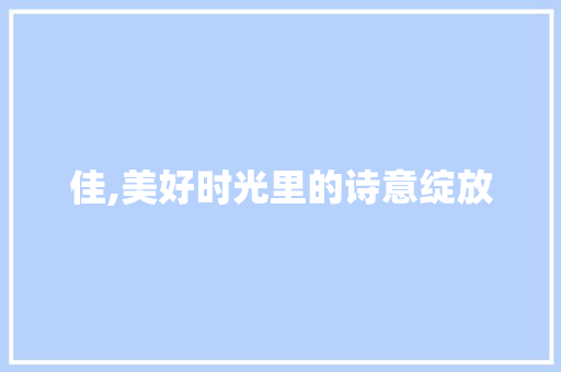 佳,美好时光里的诗意绽放
