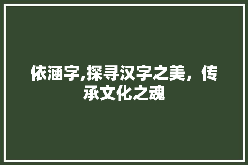依涵字,探寻汉字之美，传承文化之魂 项目报告