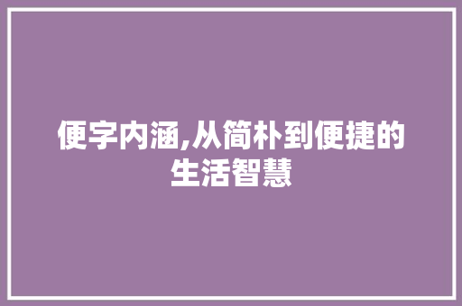 便字内涵,从简朴到便捷的生活智慧 项目报告