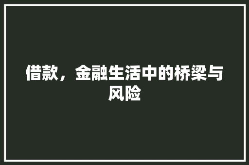 借款，金融生活中的桥梁与风险