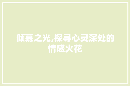 倾慕之光,探寻心灵深处的情感火花