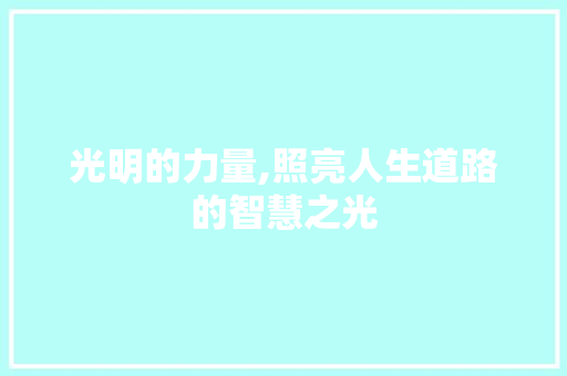 光明的力量,照亮人生道路的智慧之光